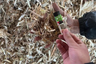 五年时光，一句“最省心”胜过千言万语 ——东北生物质项目现场回访纪实