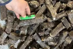 哪些物料可以制备高热值RDF燃料棒？