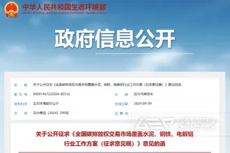 碳市场扩围激发替代燃料新机遇