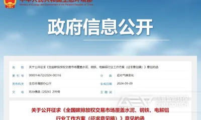碳市场扩围激发替代燃料新机遇
