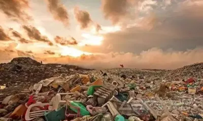 生活垃圾如何实现无害化、减量化、资源化处理?