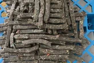 生活垃圾的另一种处置技术