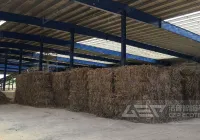 解锁燃煤机组耦合生物质直燃发电预处理难题