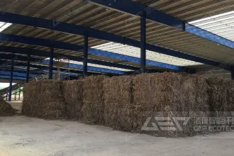 解锁燃煤机组耦合生物质直燃发电预处理难题