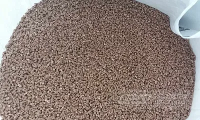 筑牢根基，开启征程：RDF替代燃料工厂全方位筹备攻略