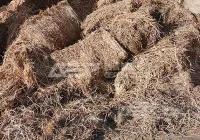 生物质耦合发电技术介绍