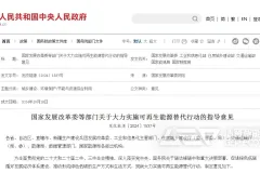 可再生能源替代行动下的生物质能源解决方案