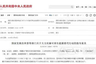 可再生能源替代行动下的生物质能源解决方案