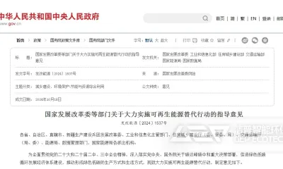 可再生能源替代行动下的生物质能源解决方案