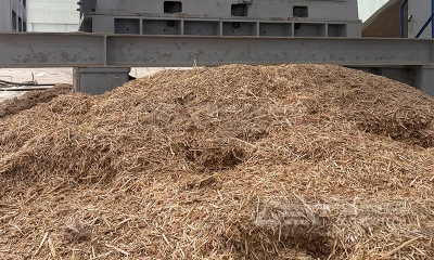 赋能燃煤掺烧：预处理如何撬动生物质从降碳技术向绿色资产升级