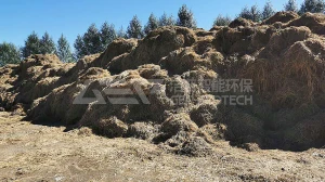 东北农林生物质热电联产项目