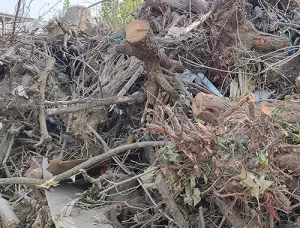 园林垃圾破碎