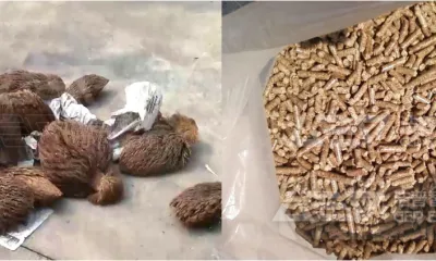 发电厂掺烧生物质什么比例最合适?