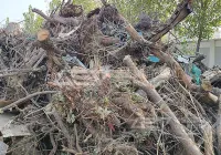 园林垃圾的资源化处理：变废为宝，推动绿色环保发展