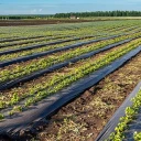 废弃农膜破碎筛分处理