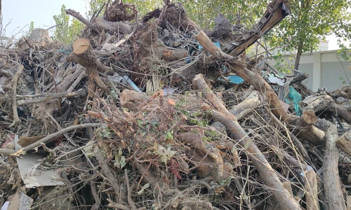 华北地区园林垃圾破碎处置项目