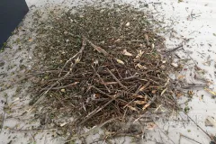 生物质替代燃料来源有哪些？