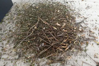 生物质替代燃料来源有哪些？