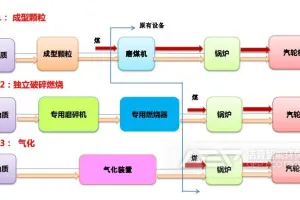 大型燃煤电厂生物质耦合燃烧发电技术