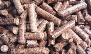 生物质颗粒燃料生产线