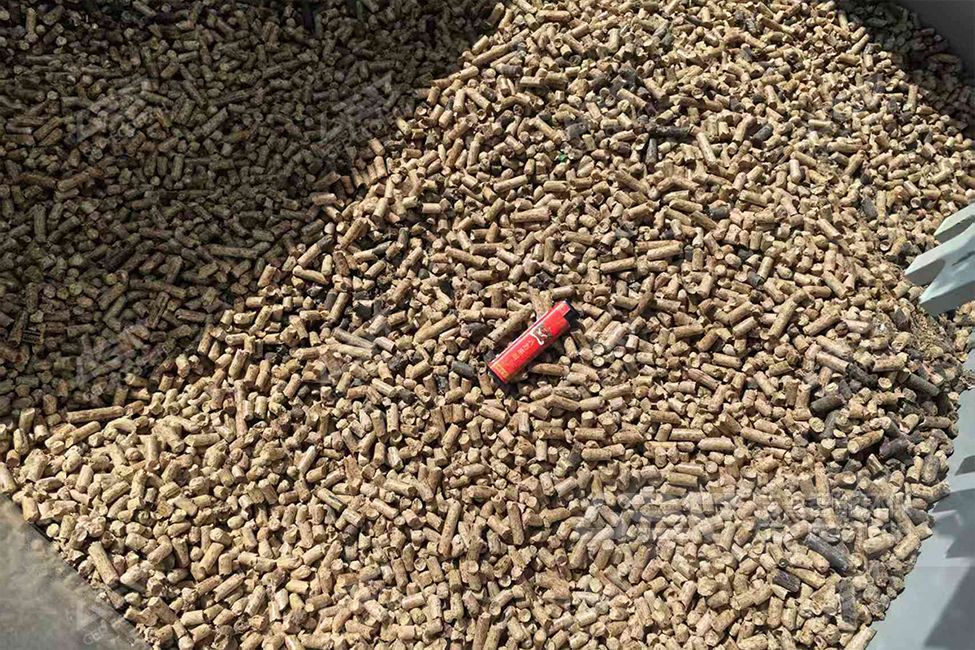 山东生物质颗粒燃料技改项目