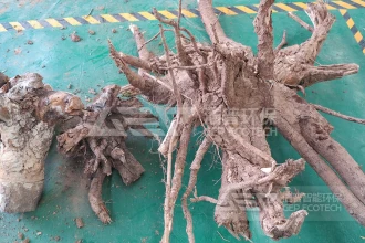 大树根破碎难处理？洁普双轴撕碎机一台搞定粗破+细破！
