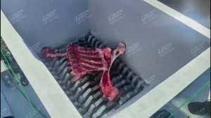 牛羊骨皮专用双轴撕碎机，无害化处置好帮手