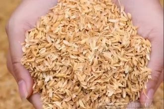 大型电厂都在用这些材料耦合掺烧生物质